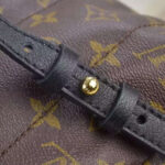 Louis vuitton Palm Springs Backpack MM M41560 Black